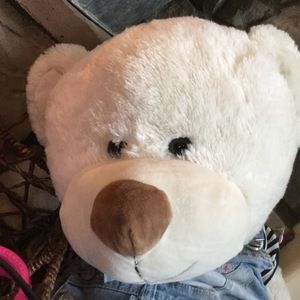 Meet your Posher, Bear